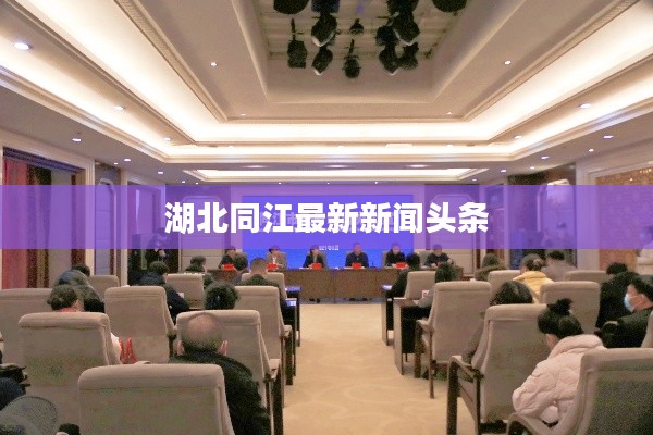 湖北同江最新新闻头条