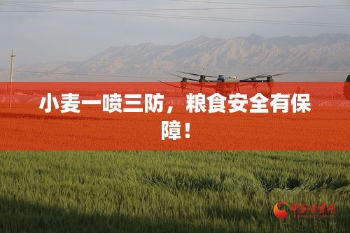 小麦一喷三防，粮食安全有保障！