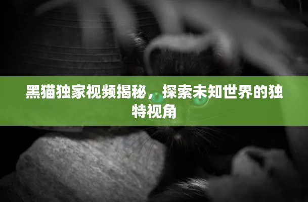 黑猫独家视频揭秘，探索未知世界的独特视角