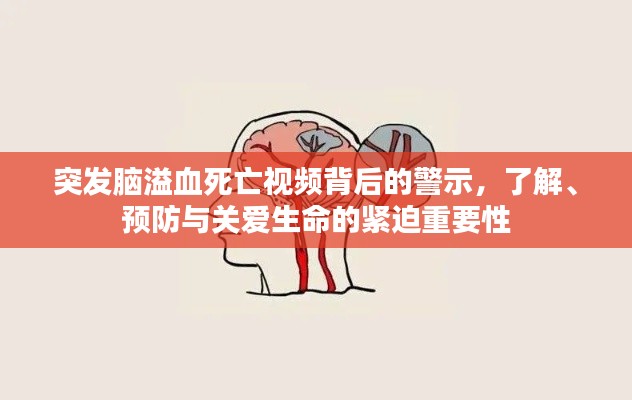 突发脑溢血死亡视频背后的警示，了解、预防与关爱生命的紧迫重要性