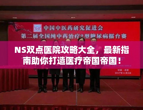 NS双点医院攻略大全，最新指南助你打造医疗帝国帝国！
