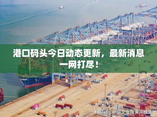 港口码头今日动态更新，最新消息一网打尽！