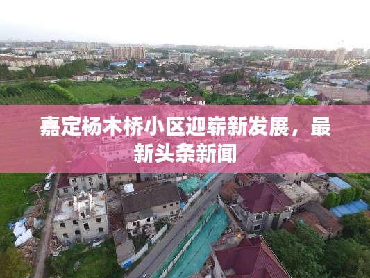 嘉定杨木桥小区迎崭新发展，最新头条新闻