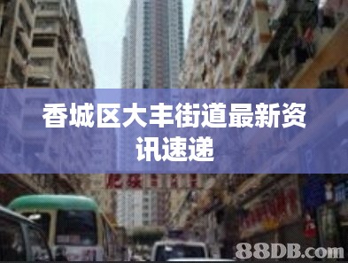 香城区大丰街道最新资讯速递