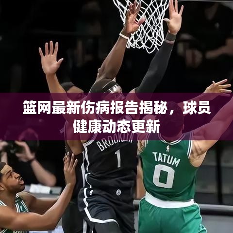 篮网最新伤病报告揭秘，球员健康动态更新