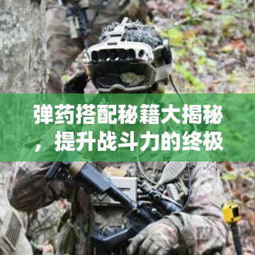 弹药搭配秘籍大揭秘，提升战斗力的终极攻略视频！