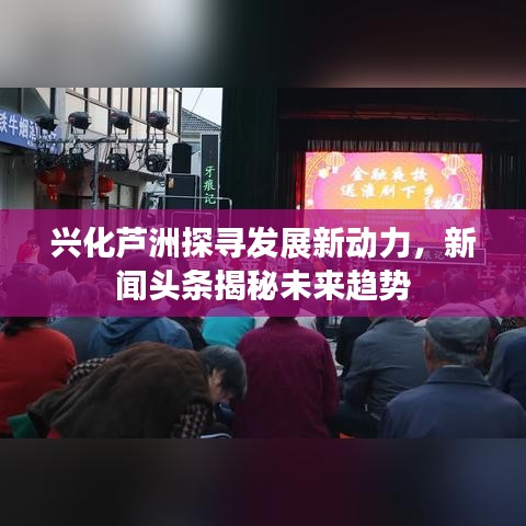 兴化芦洲探寻发展新动力，新闻头条揭秘未来趋势