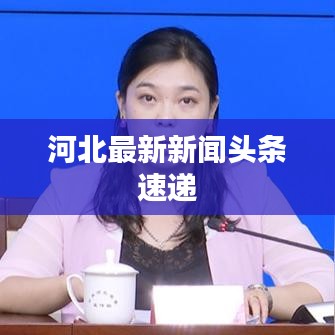 河北最新新闻头条速递