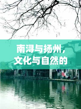 南浔与扬州，文化与自然的绝美交融之旅