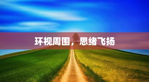 环视周围，思绪飞扬
