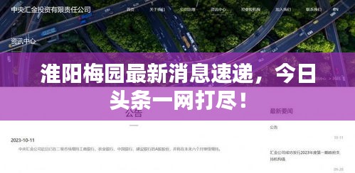 淮阳梅园最新消息速递，今日头条一网打尽！