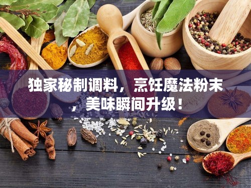 独家秘制调料，烹饪魔法粉末，美味瞬间升级！