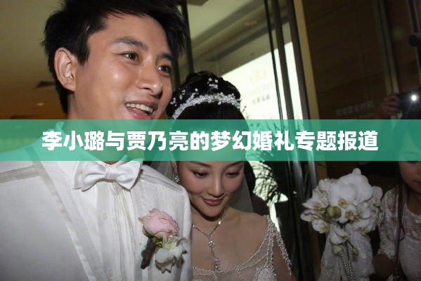 李小璐与贾乃亮的梦幻婚礼专题报道