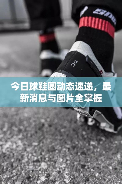 今日球鞋圈动态速递，最新消息与图片全掌握