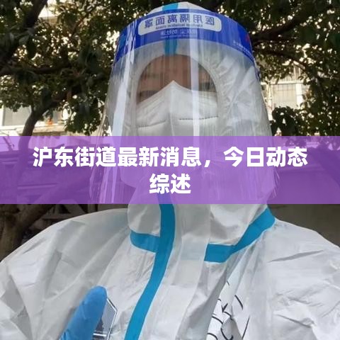 沪东街道最新消息，今日动态综述
