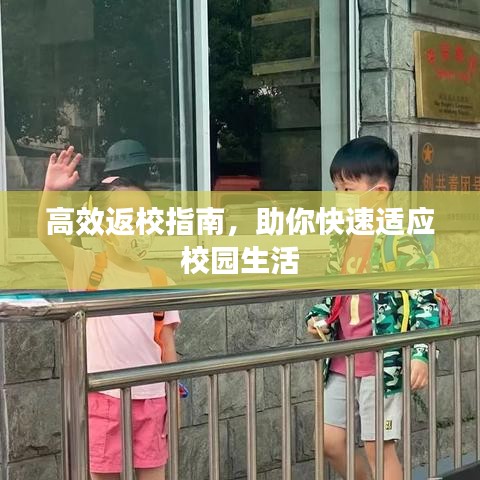 高效返校指南，助你快速适应校园生活