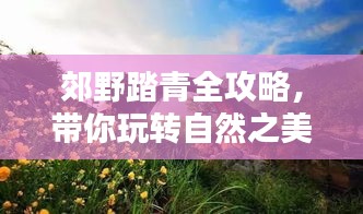 郊野踏青全攻略，带你玩转自然之美！