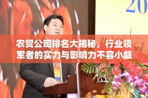 农贸公司排名大揭秘，行业领军者的实力与影响力不容小觑