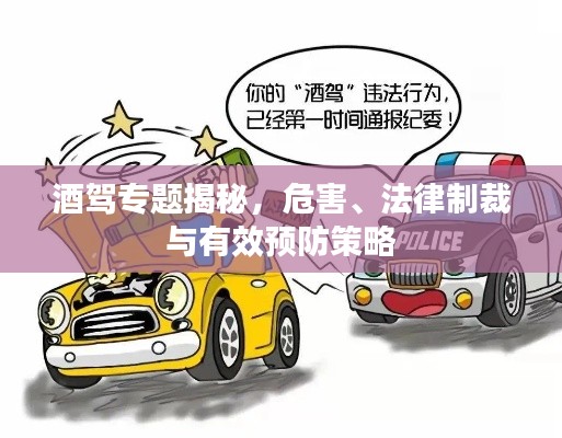 酒驾专题揭秘，危害、法律制裁与有效预防策略