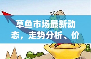 草鱼市场最新动态，走势分析、价格变动与行业洞察今日更新