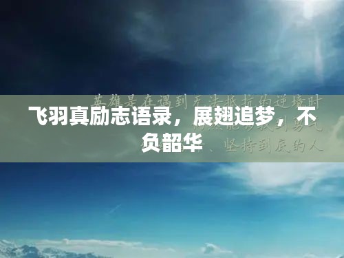 飞羽真励志语录，展翅追梦，不负韶华