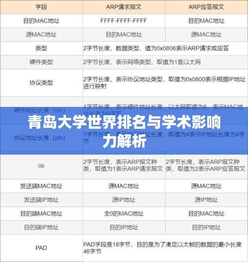 青岛大学世界排名与学术影响力解析