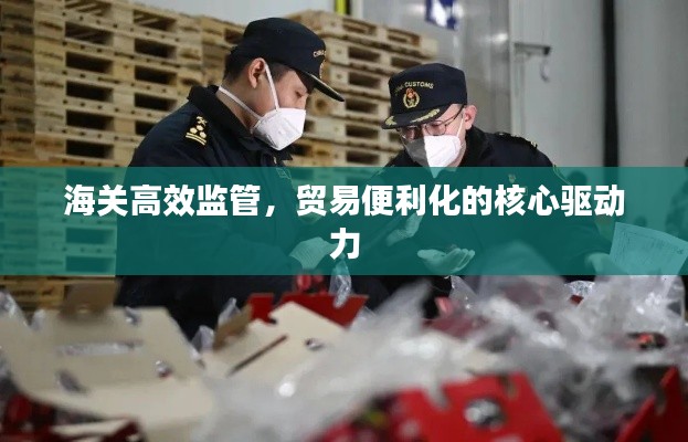 海关高效监管，贸易便利化的核心驱动力