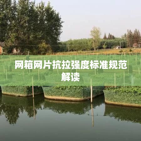 网箱网片抗拉强度标准规范解读