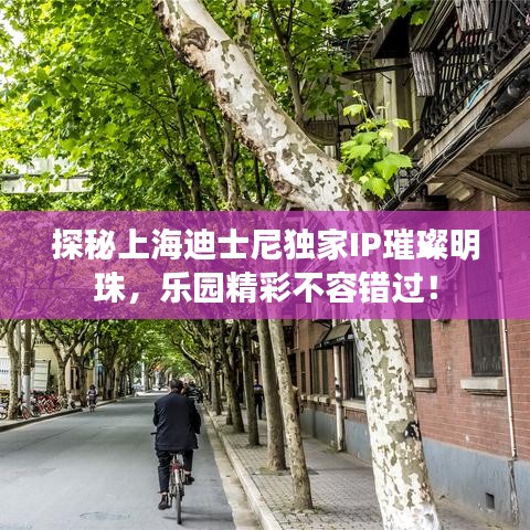 探秘上海迪士尼独家IP璀璨明珠，乐园精彩不容错过！