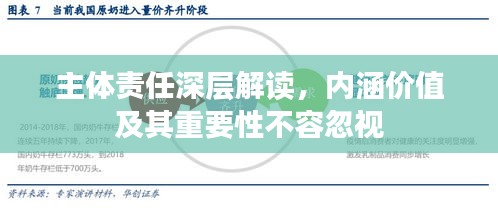主体责任深层解读，内涵价值及其重要性不容忽视