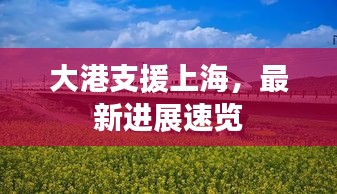 大港支援上海，最新进展速览