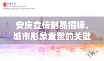 安庆宣传制品招标，城市形象重塑的关键之举