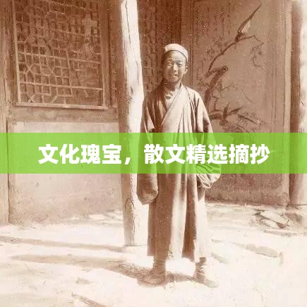 文化瑰宝，散文精选摘抄