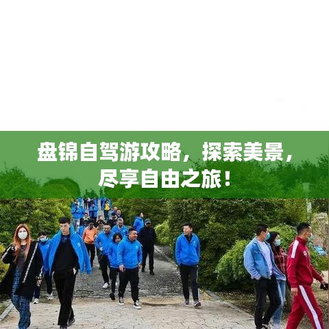 盘锦自驾游攻略，探索美景，尽享自由之旅！