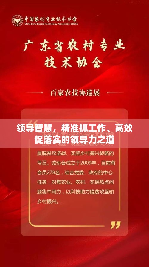 领导智慧，精准抓工作、高效促落实的领导力之道