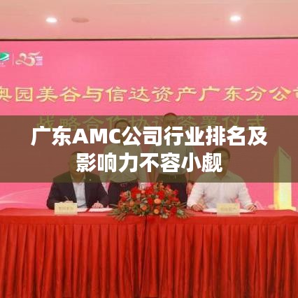 广东AMC公司行业排名及影响力不容小觑