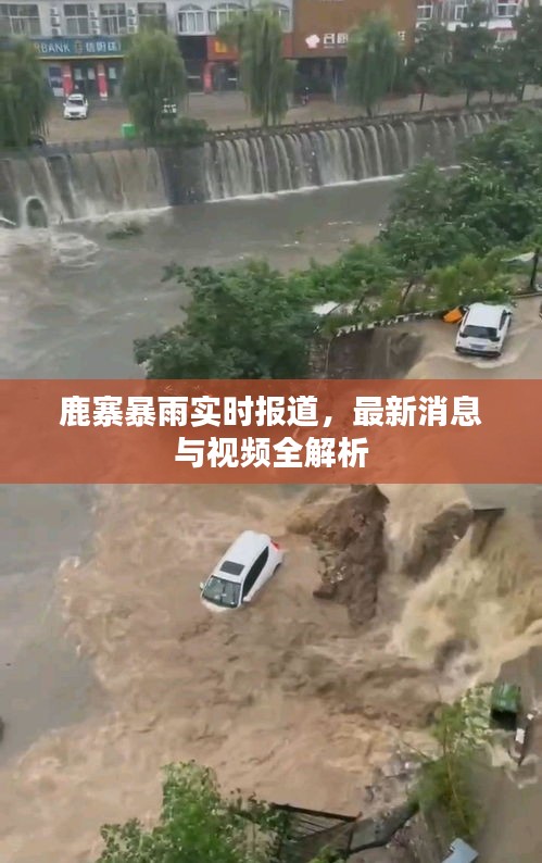 鹿寨暴雨实时报道，最新消息与视频全解析