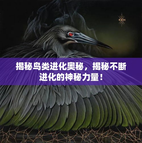 揭秘鸟类进化奥秘，揭秘不断进化的神秘力量！