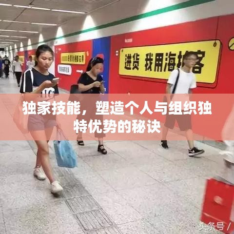 独家技能，塑造个人与组织独特优势的秘诀