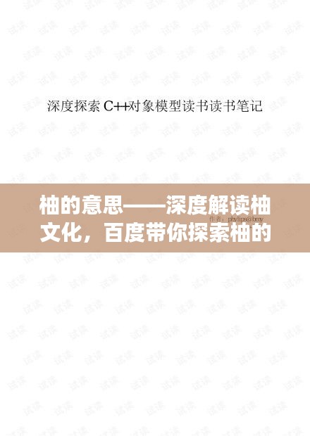 柚的意思——深度解读柚文化，百度带你探索柚的世界