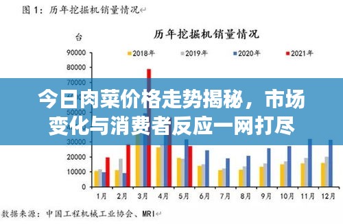 今日肉菜价格走势揭秘，市场变化与消费者反应一网打尽