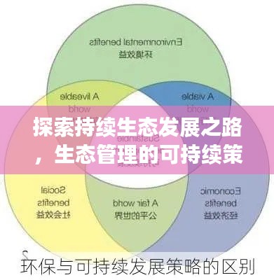 探索持续生态发展之路，生态管理的可持续策略