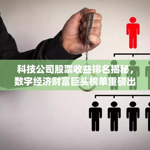 科技公司股票收益排名揭秘，数字经济财富巨头榜单重磅出炉！