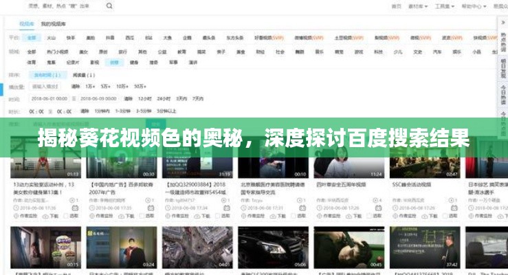 揭秘葵花视频色的奥秘，深度探讨百度搜索结果