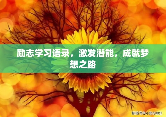 励志学习语录，激发潜能，成就梦想之路