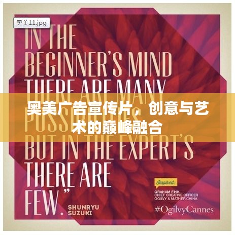 奥美广告宣传片，创意与艺术的巅峰融合