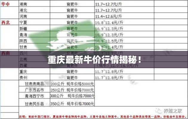 重庆最新牛价行情揭秘！
