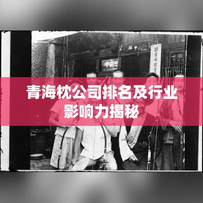 青海枕公司排名及行业影响力揭秘