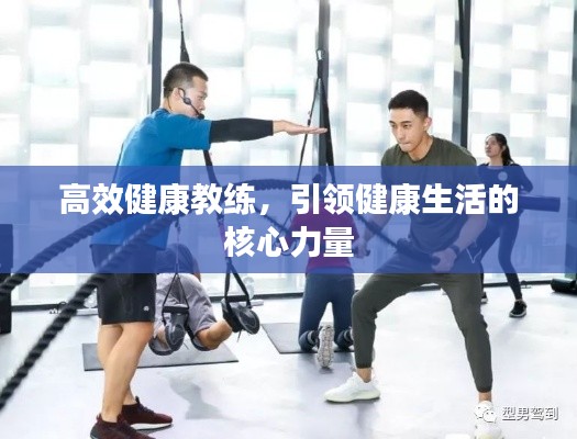 高效健康教练，引领健康生活的核心力量