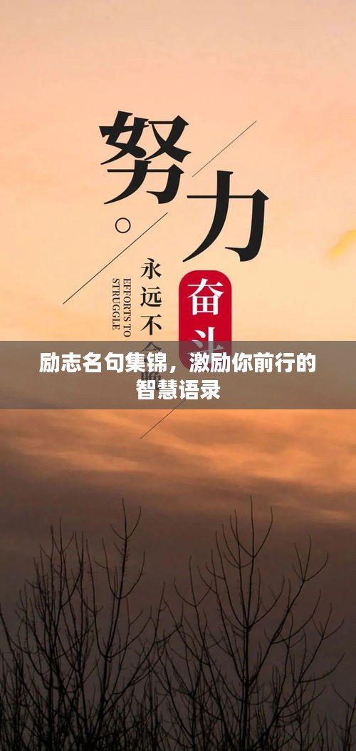 励志名句集锦，激励你前行的智慧语录